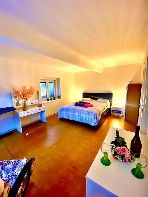 Flat In The House & Dog Friendly Apartment Prague 0*,