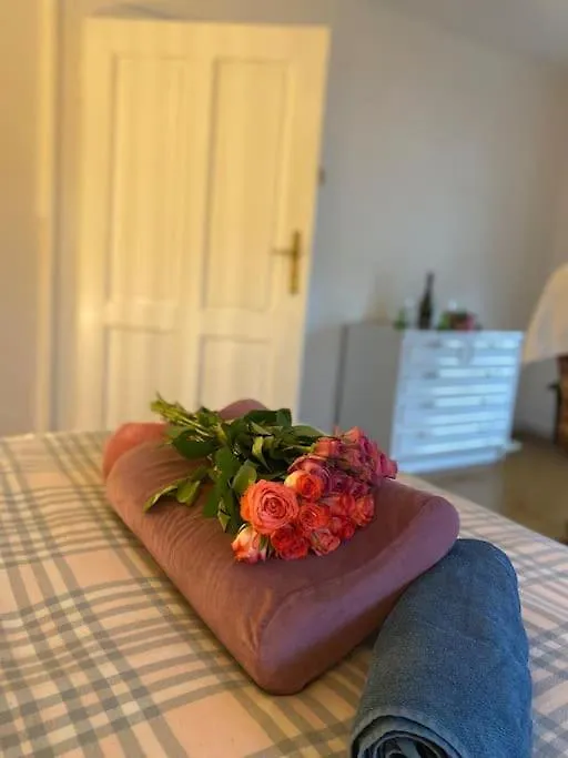 Flat In The House & Dog Friendly Apartment Prague