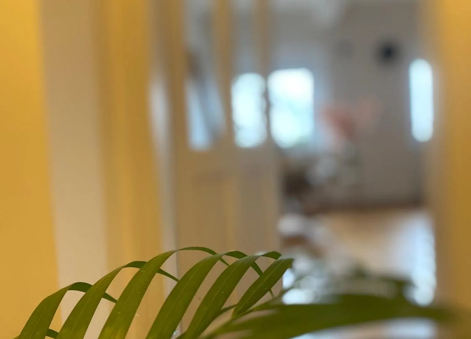 Flat In The House & Dog Friendly Apartment Prague 0*,  Czech Republic